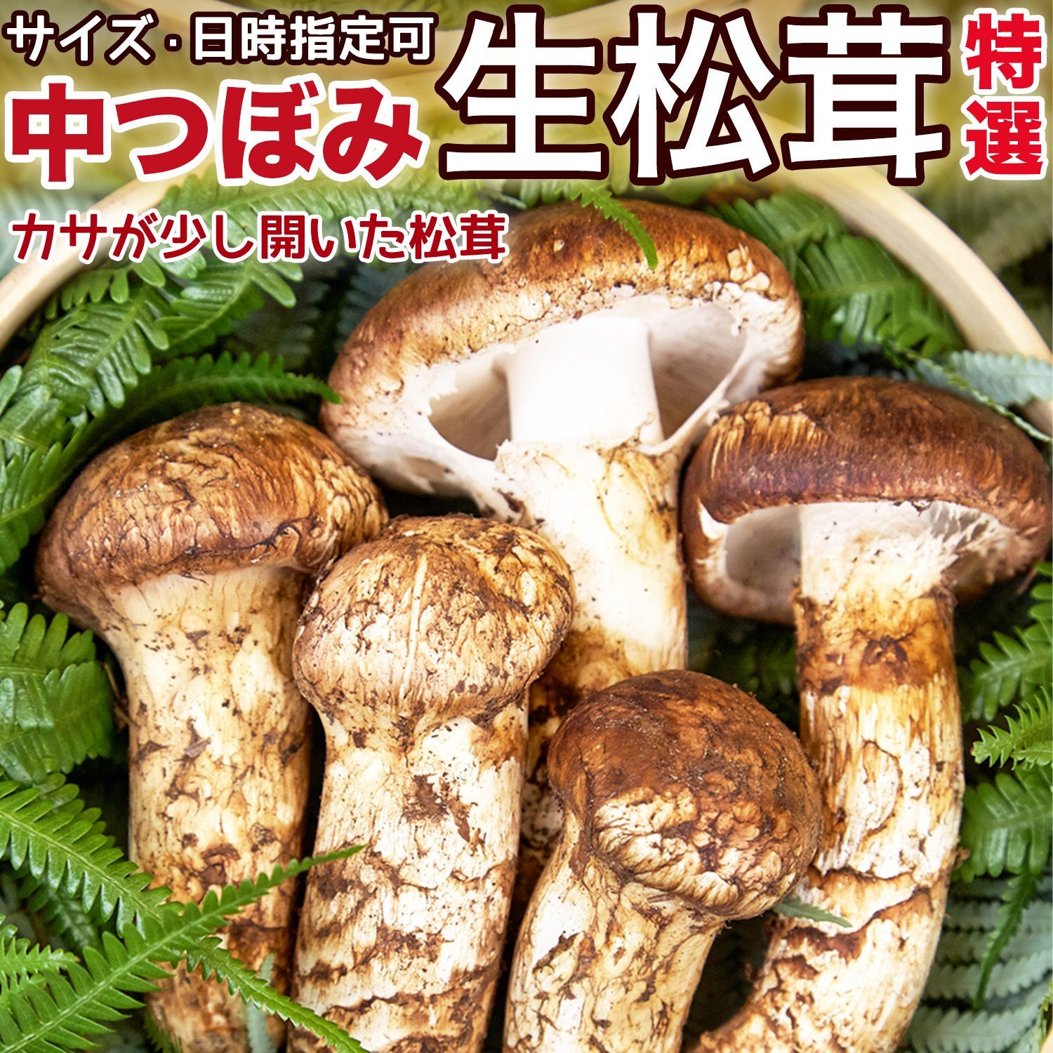 No.126 】ナツ様✩.*˚専用 レジン໒꒱·̩͙ヘアゴム ヘアゴム 色 選び方