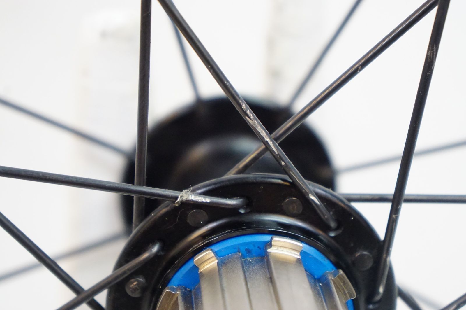 7 カンパフリー