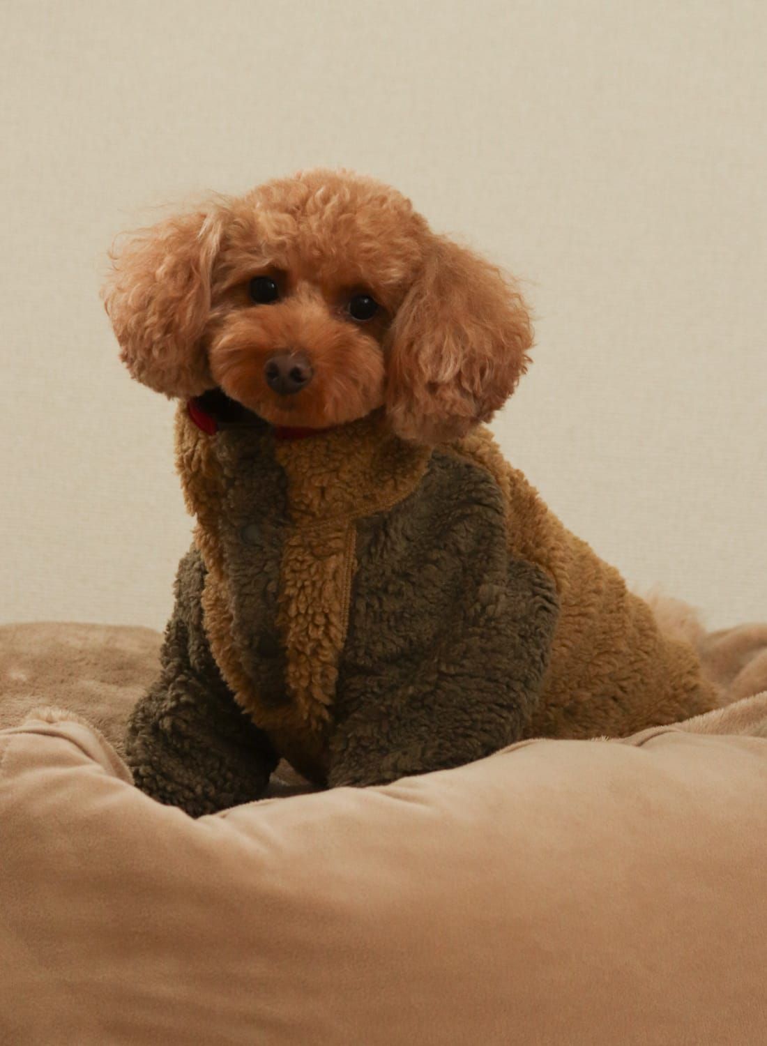 Snow Peak(スノーピーク)SP Dog Fleece Jacket(SP ドッグ フリース