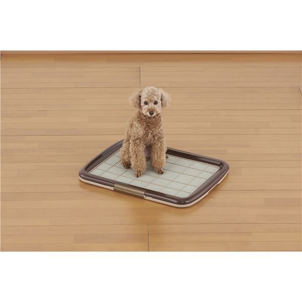 まとめ しつけるトレーメッシュプラスM ブラウン ペット用品 ×2セット