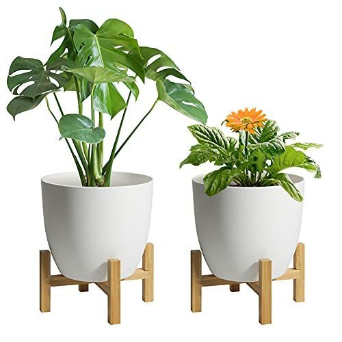 T4U 給水鉢 竹製スタンド付き 6号鉢 2個セット プラスチック 植木鉢 給水プランター 観葉植物鉢 花鉢 底穴なし プランター ガーデニング 室内 ホワイト ポトス オモト オリヅルラン用