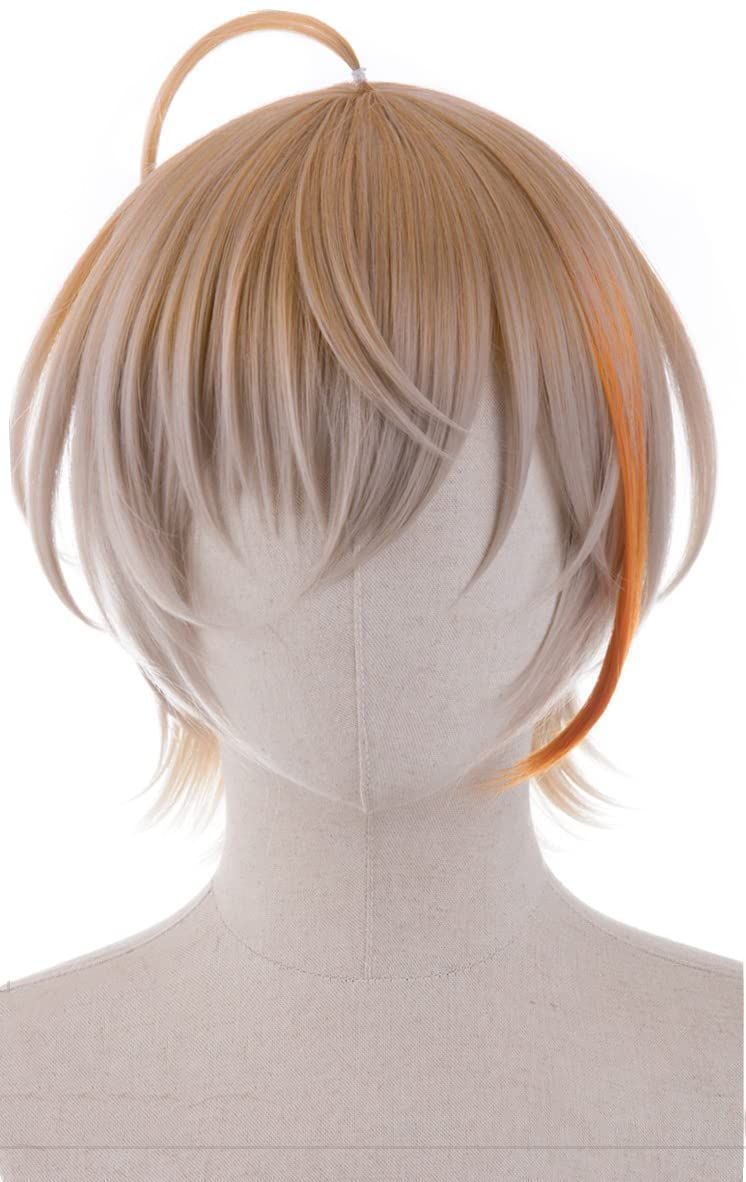 新品 コスプレウィッグ バーチャル 耐熱 ウィッグ 耐熱 かつら