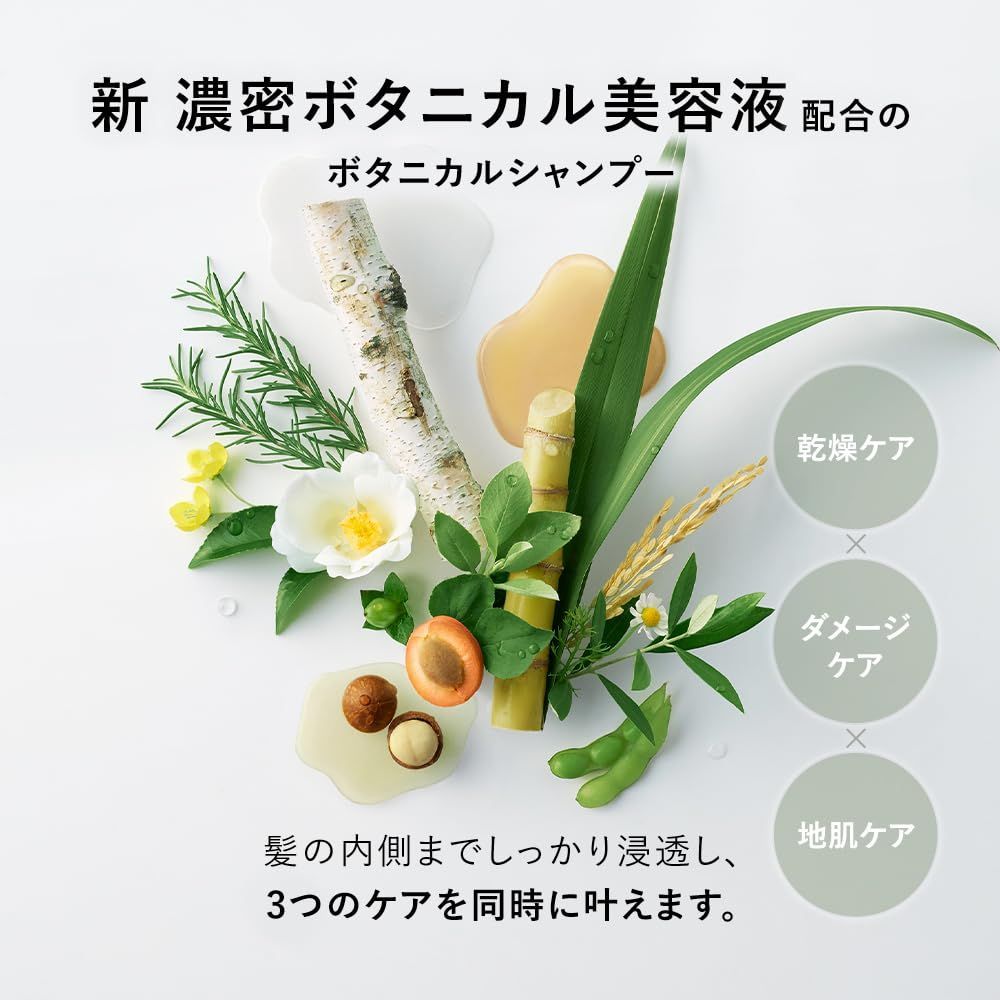 大容量