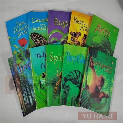 Usborne Beginners History 10 Books Set (Castles, Vikings