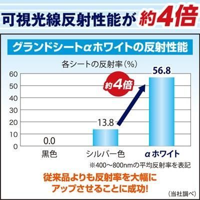 50cm