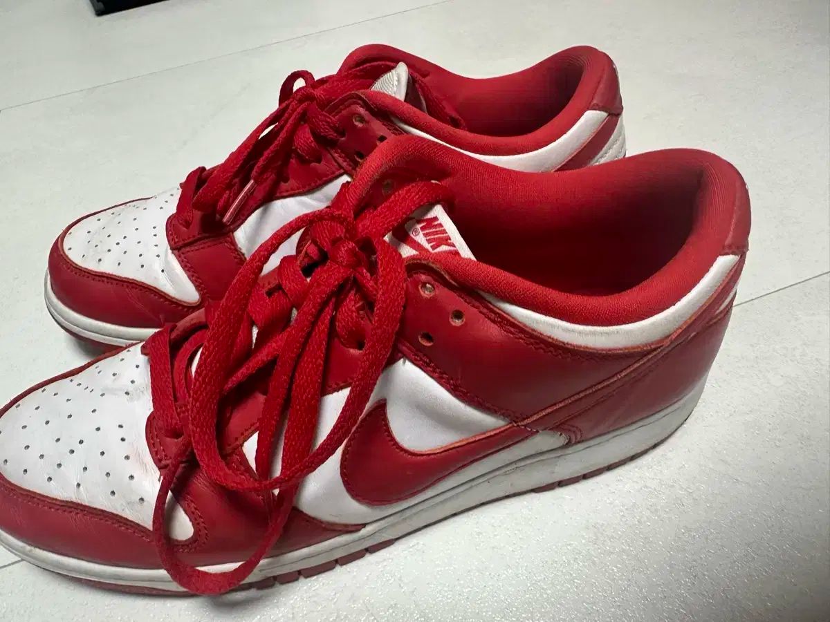 Nike Dunk Low Retro Gym Red