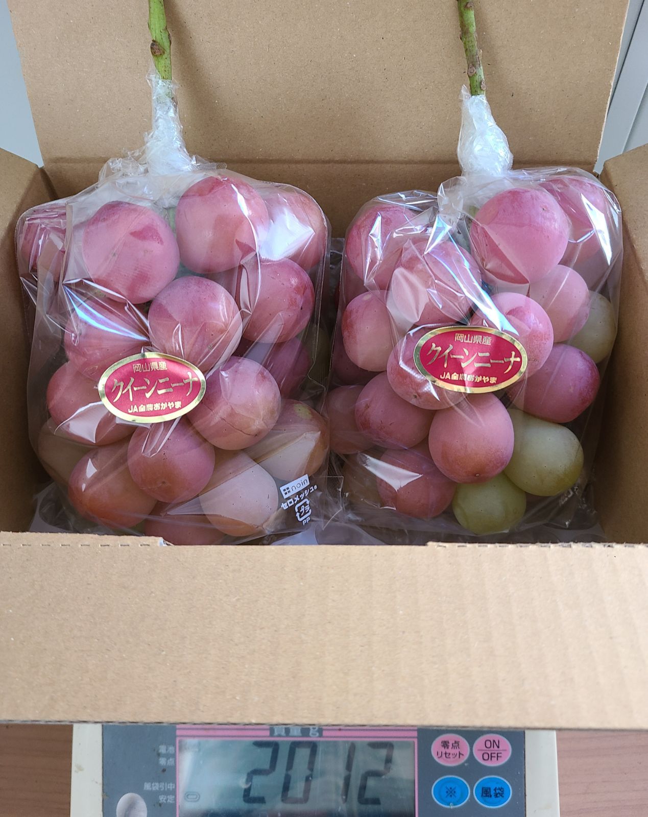 3L超特大粒 特秀品 クイーンニーナ 1.7kg 2房入