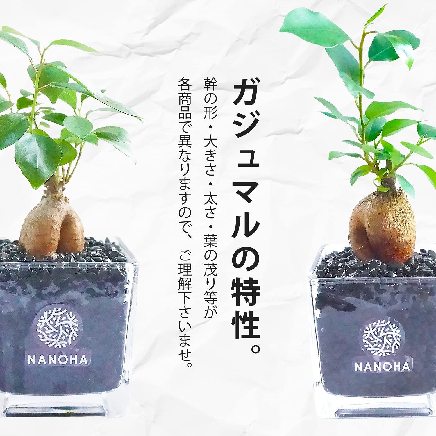 水栽培 黒砂利