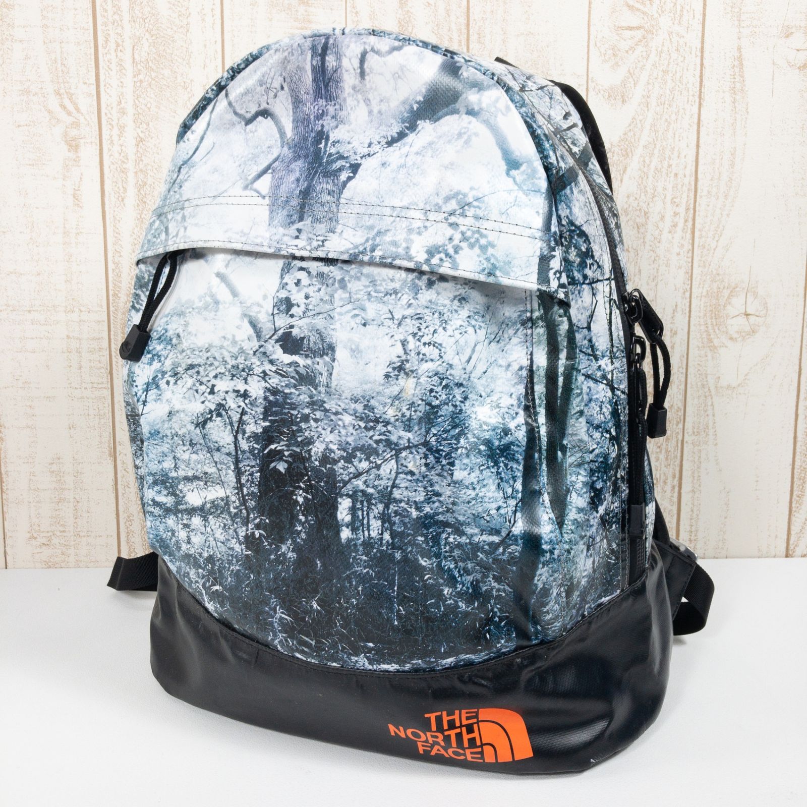 OneSize グレー系 The North Face ザ ノースフェイス ディツアー デイ パック Detour Day Pack モデル ビームス 菅原 一剛 トリプルネーム バッグ ストレージ バックパッ