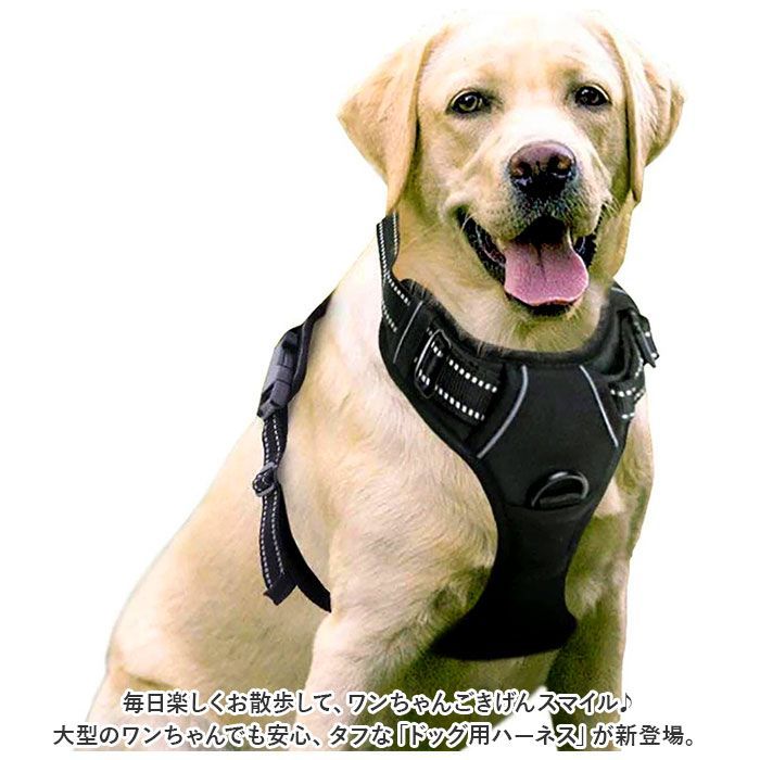 犬用ハーネス Mサイズ 小型犬用 - ハーネス・リード