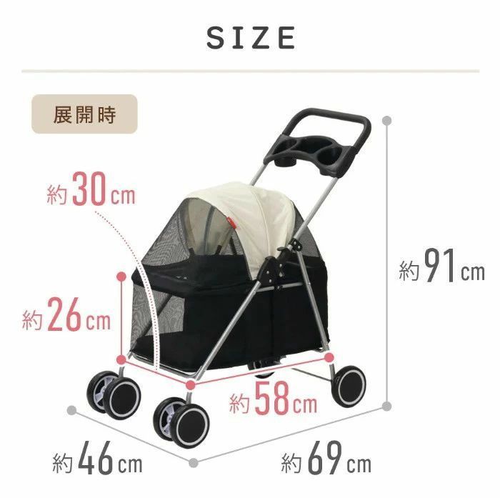 バギー