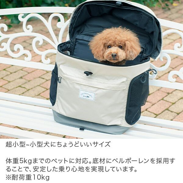 キャリーバッグ