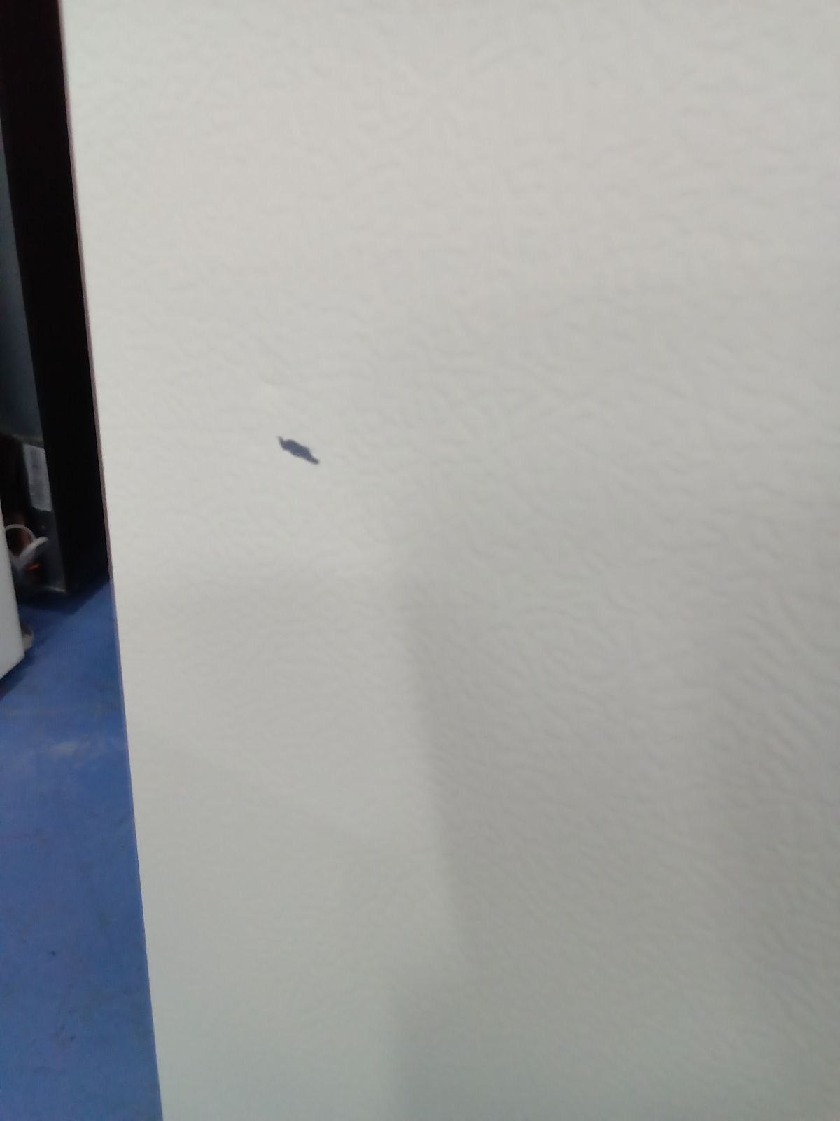 冷蔵庫 2021年製