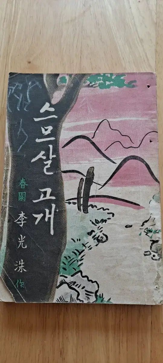 珍しい本 イ グァンスー 小説 20歳 首