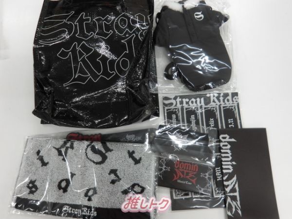 Stray Kids World Tour ＜dominATE JAPAN＞ アップグレード