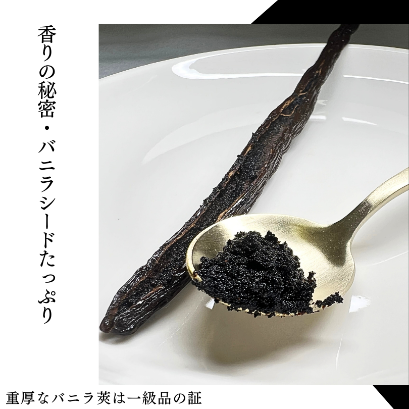 タヒチ種バニラビーンズ 500g 通常グレード 135cm以上