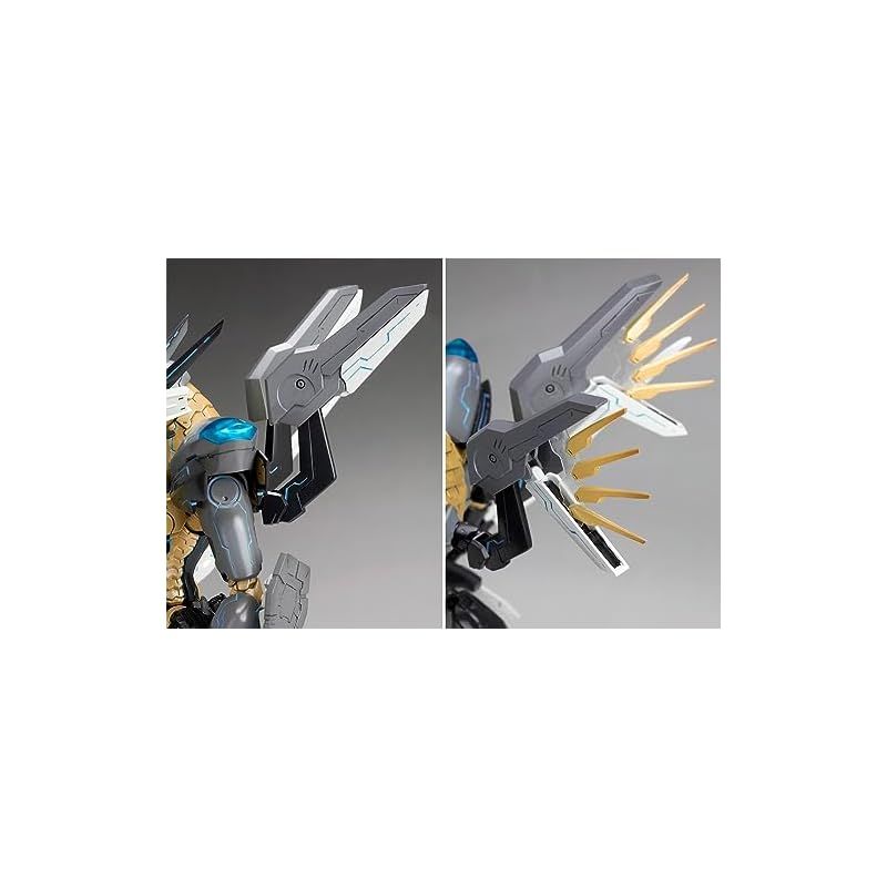 ANUBIS ジェフティ 2点セット