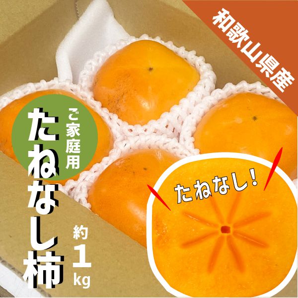 タネ無し柿 10kg ☆和歌山紀の川市産☆家庭用訳あり品 【公式通販】