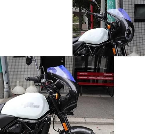 mame/マメ ガラス 浮き玉ピアス Black フリンジ