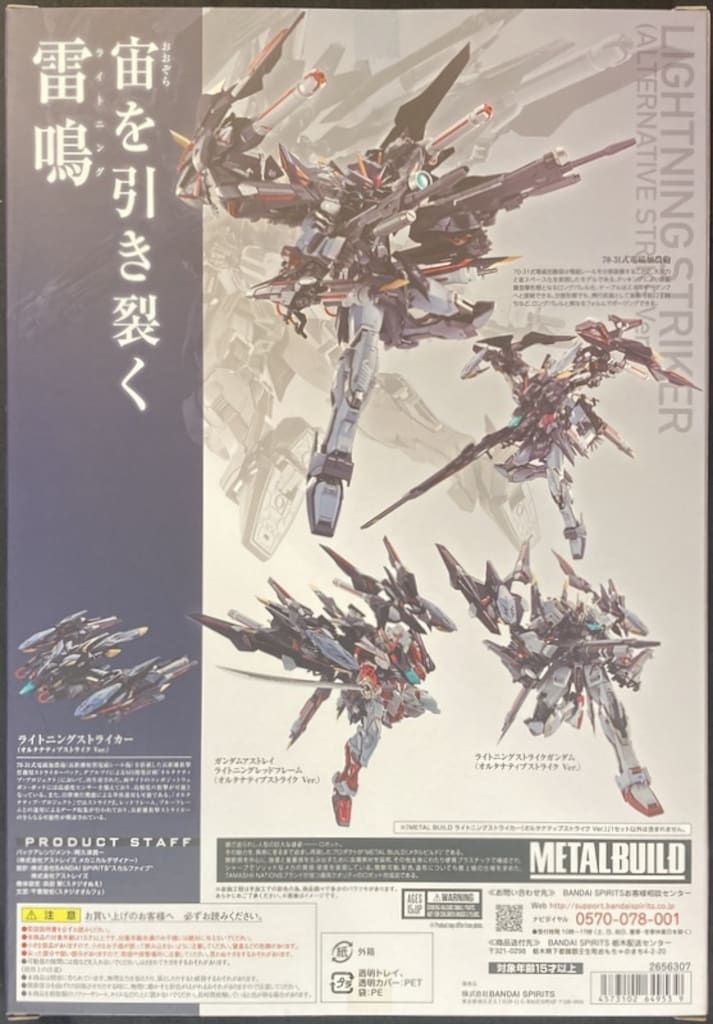 BANDAI SPIRITS L BUILD 機動戦士ガンダムSEED MSV ライトニング