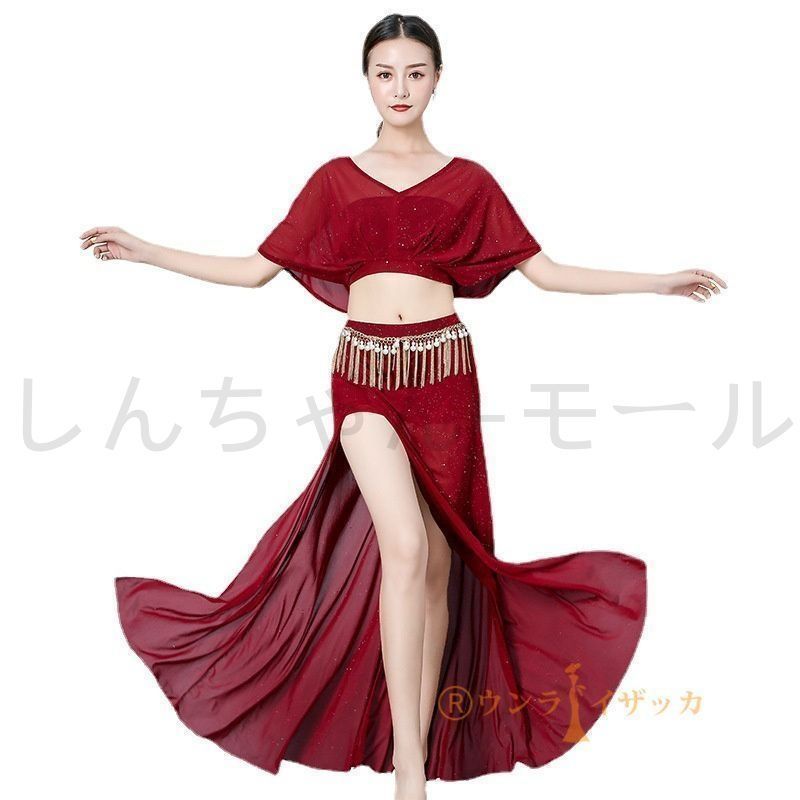 未使用　ベリーダンス衣装 ベリーダンスオリエンタル衣装 ミラーフリンジデザインブラ