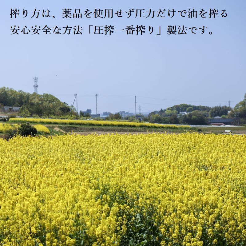 北海道|沖縄|離島