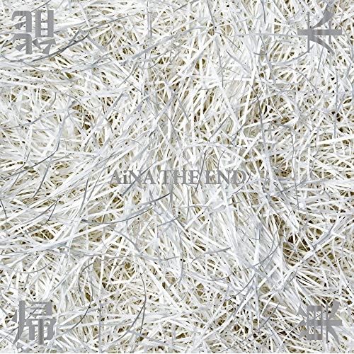 【Blu-ray】アイナ・ジ・エンド / AiNA THE END ”帰巣本能”(初回生産限定盤)(Blu-ra.. (AVXD-27585)