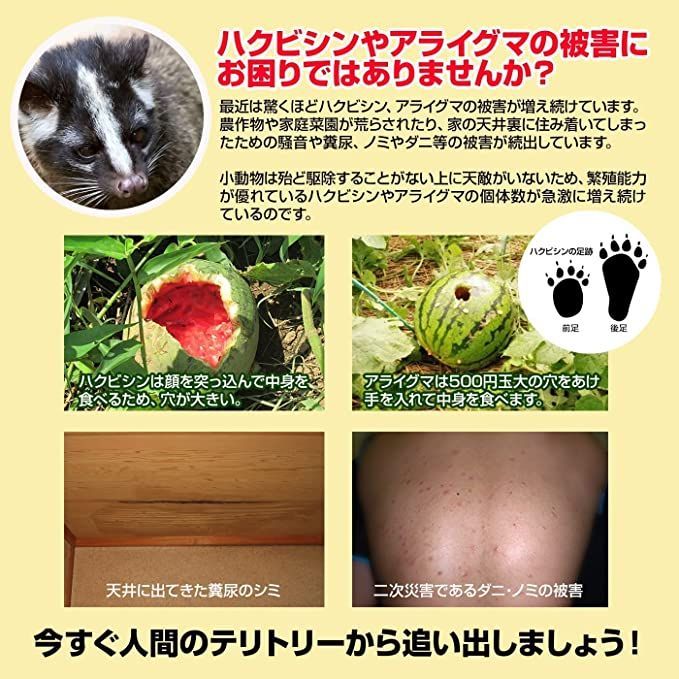 ハクビシンなぜ逃げるニュー改訂版 屋根裏