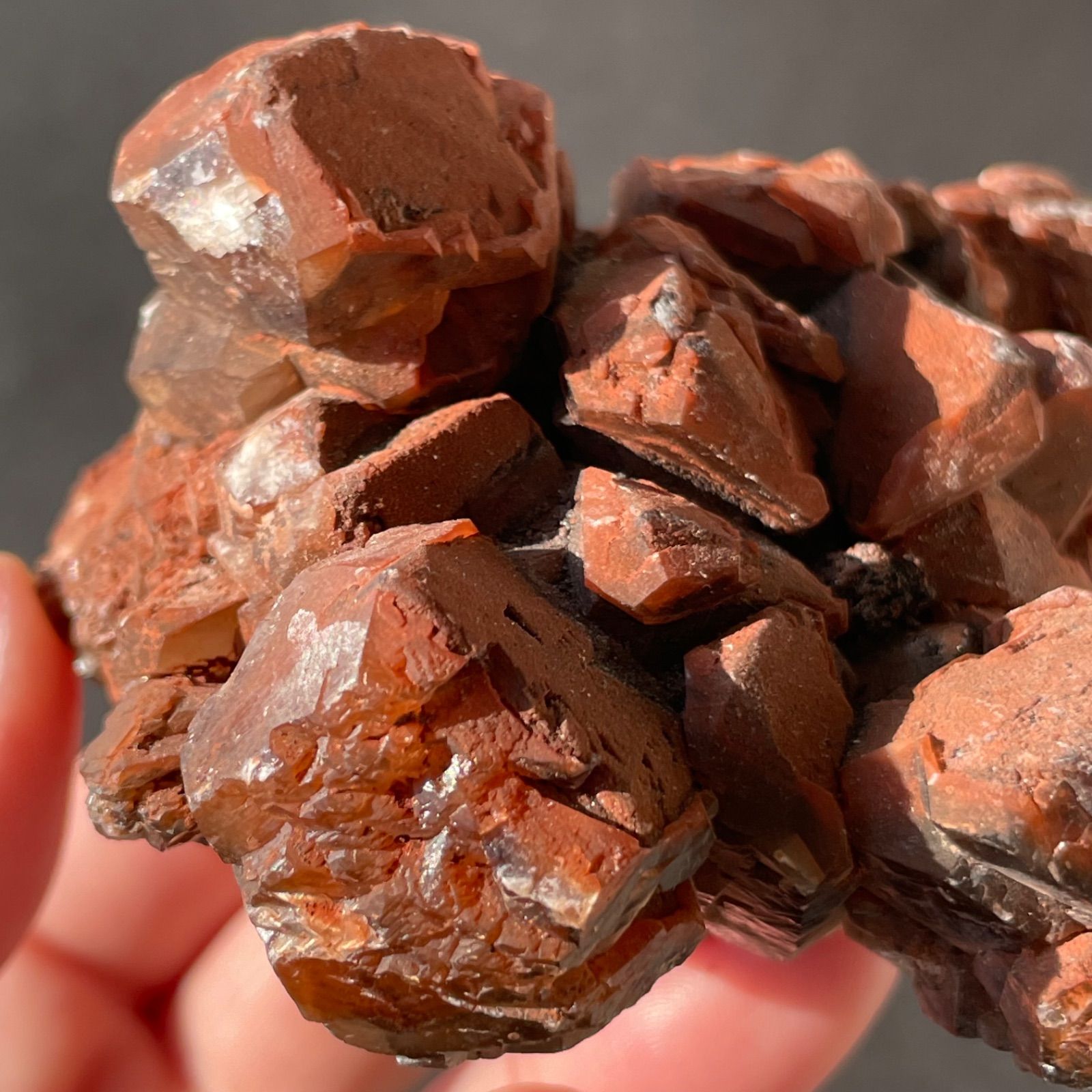 トップ 【フォロー割あり】中国産♦︎Chocolate Calcite チョコレート