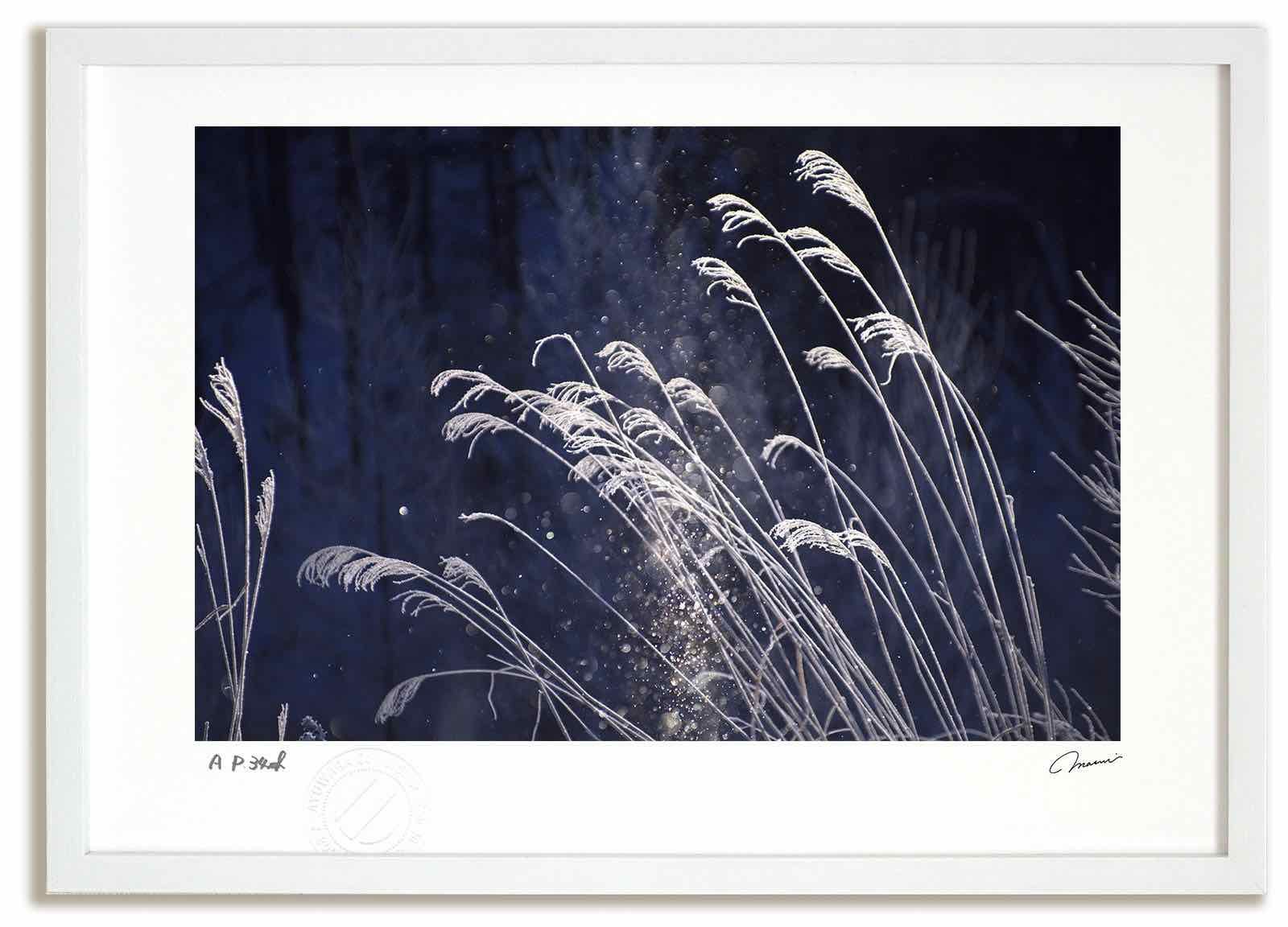 アートフォト 絵画 壁掛け 霧氷1 占冠村 富良野 美瑛 高橋真澄 インテリア 壁掛け 額入り モダン アートフレーム おしゃれ アートフォト 絵画 霧氷の森5&frasl;占冠村 高橋真澄&frasl;インテリア 額入り 額装