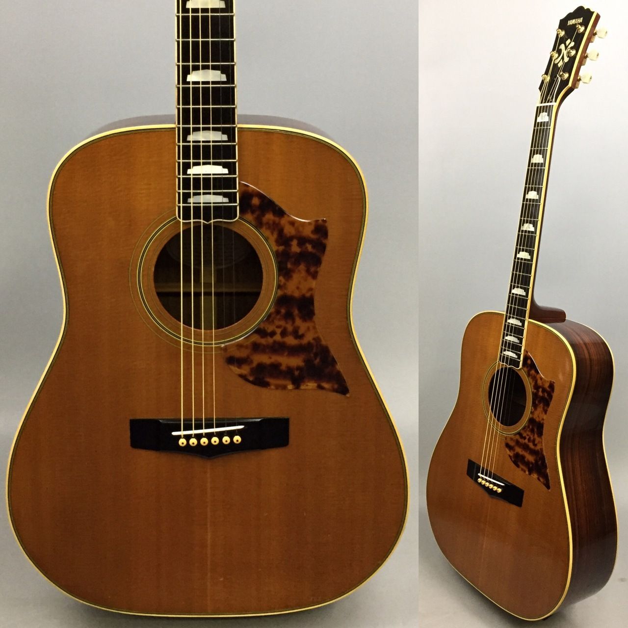 ラン様 ラン様用ページ】ランディローズ ポルカドットフライングv