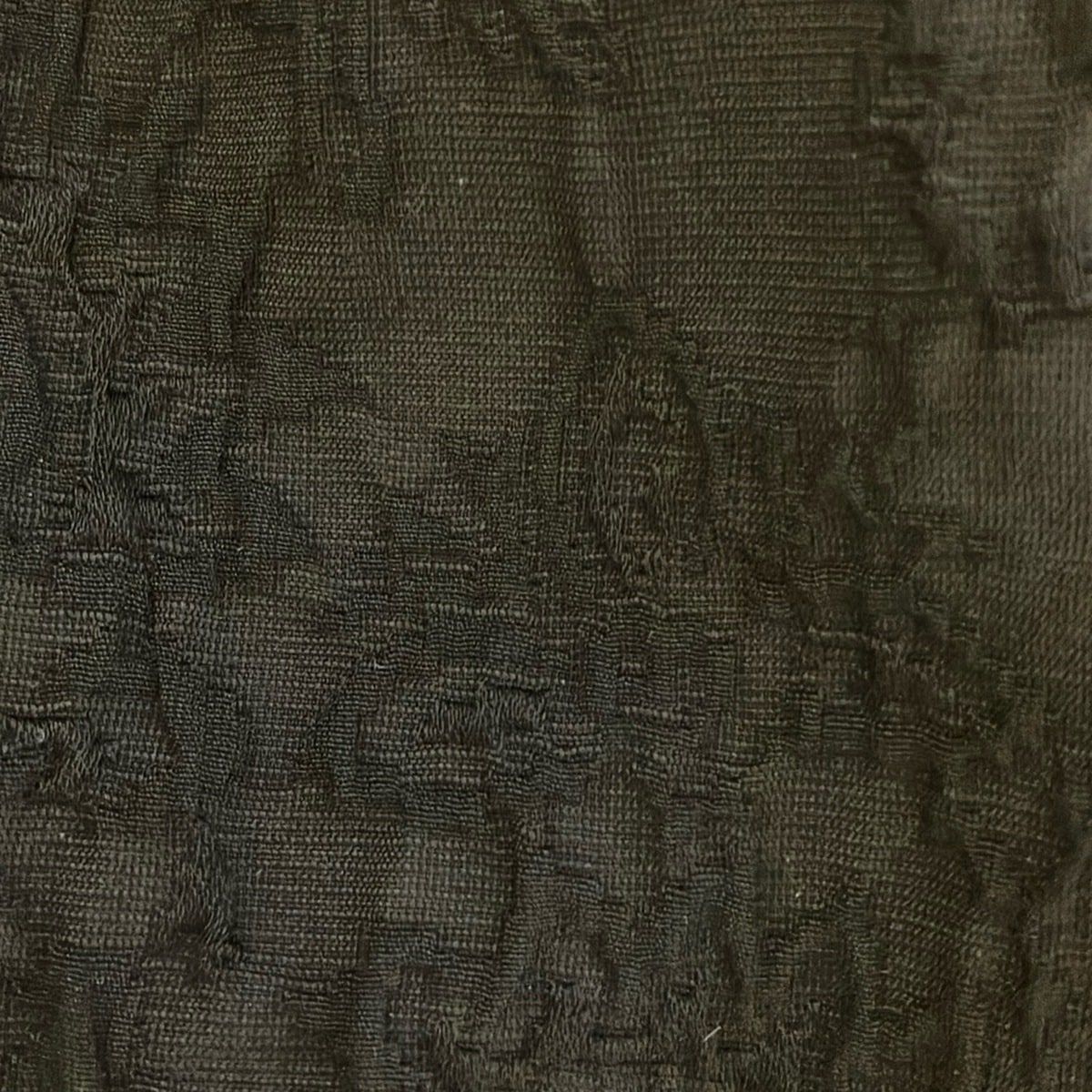  cygne シーニュ 半袖カットソー サイズF レディース Gisele ジゼル 黒 ふくれジャガード 半袖(Tシャツ) Tシャツ カットソー