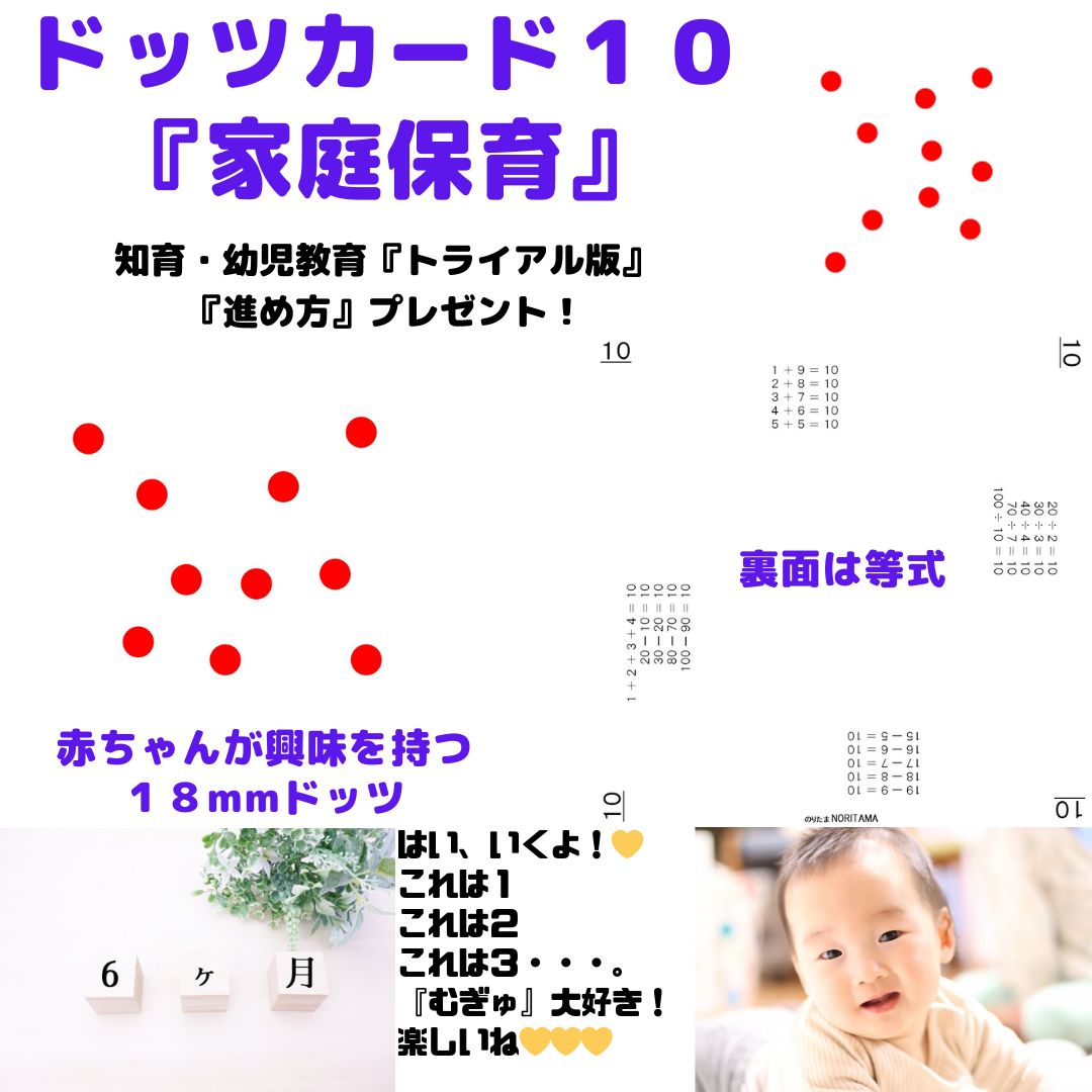 家庭保育園　ドッツカードセット 知育玩具0歳～6歳】 家庭保育ドッツカード10 (^^♪ - メルカリ