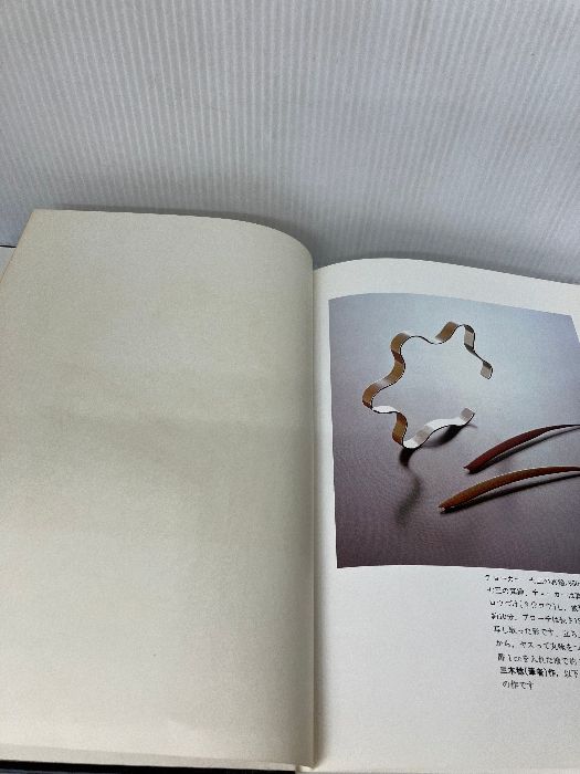 メタルのジュエリークラフト メタルのジュエリークラフト―伝統技法を新しく生かして (1982年