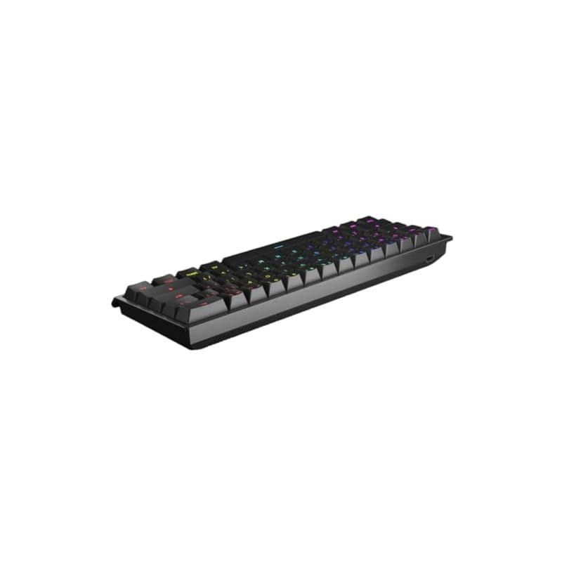 Wooting60HE,ARM,ANSI-US PBT,Lekker Linear60,US 配列,ラビット