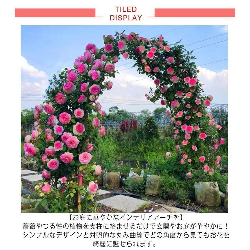 Yidechon ハーフガーデンアーチトレリス、メタルガーデンアーバー 22サイズ、組み立てが簡単、つる植物用アーチトレリス、バラの