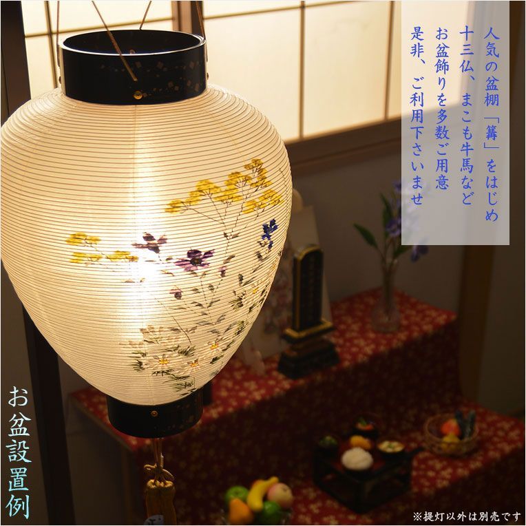 電池式 本絹一重