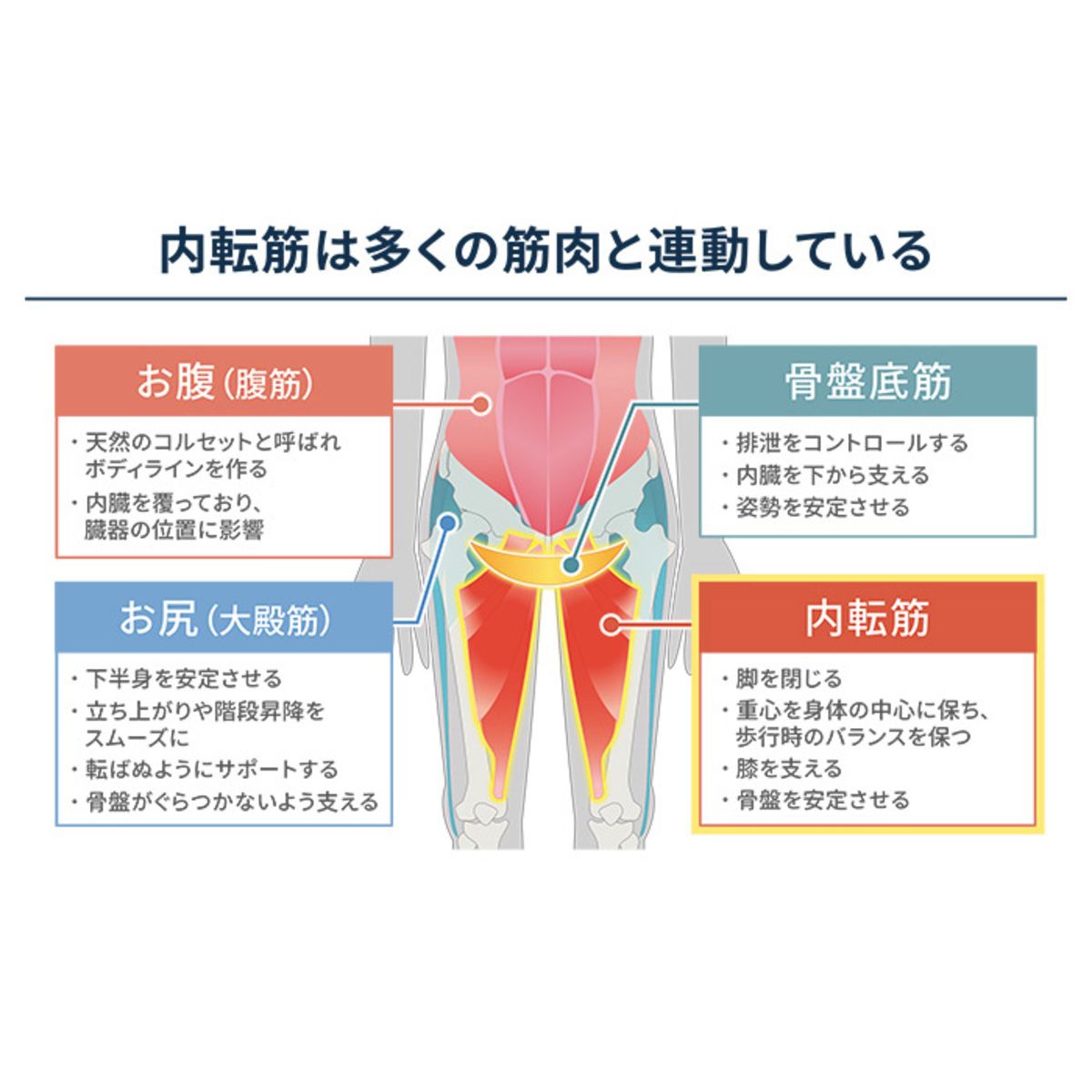 美品】 イッティ 保阪流ウェルネス 内転筋トレーニング キュット座