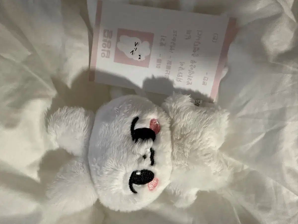 スキズ リノ ぬいぐるみ 10cm リンちゃん Lee Know 리노 스키즈 10cm 인형 리노 | TikTok