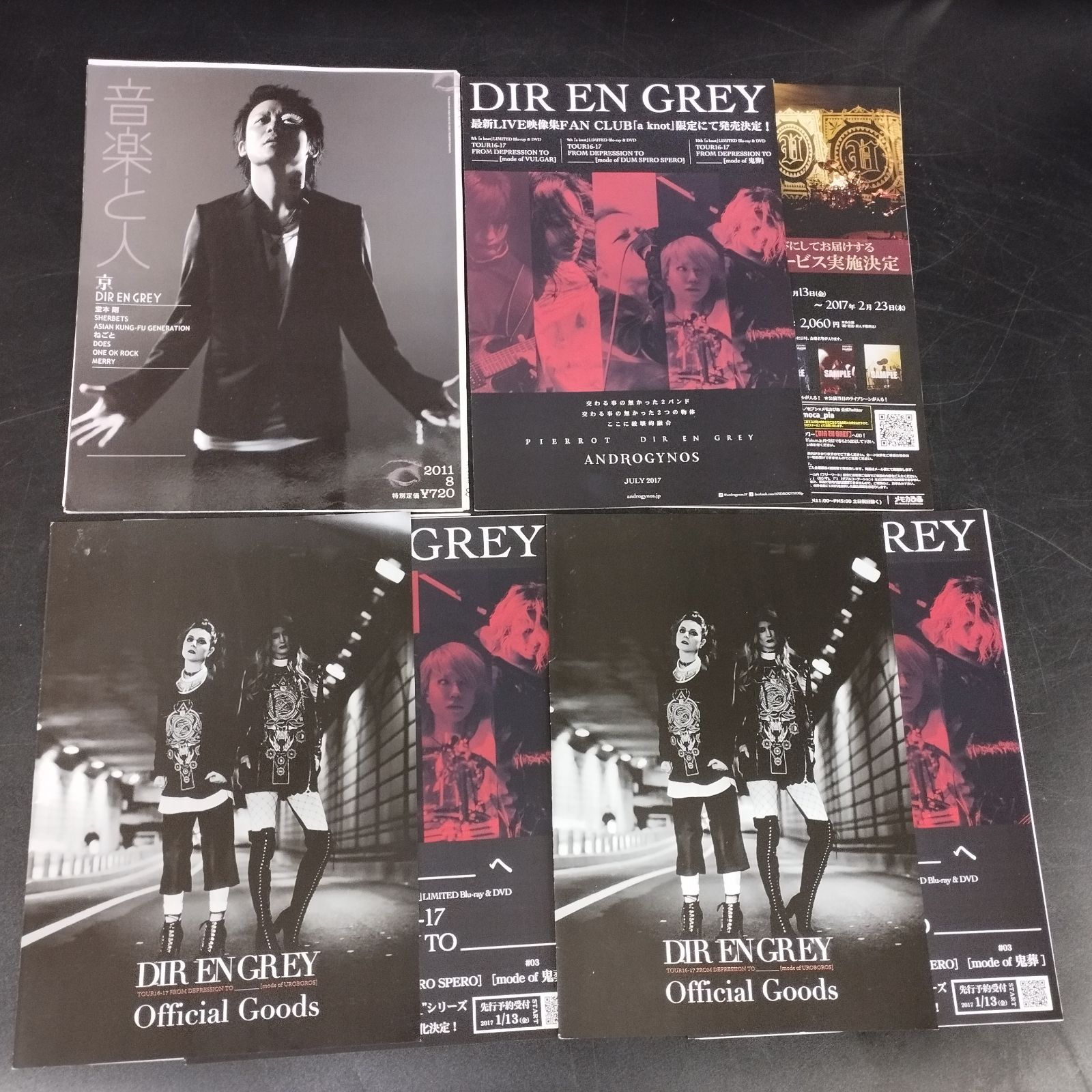 廃盤レア Dir en grey BLITZ 5 DAYS DVD-BOX 廃盤レア Dir en grey