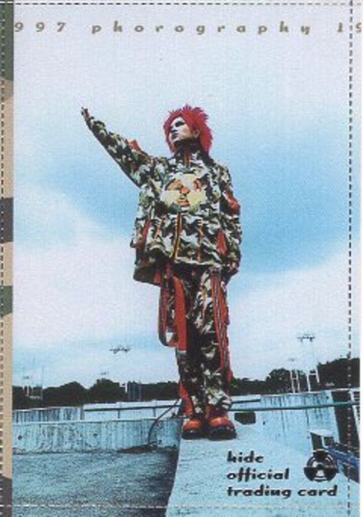 その他 hide official trading card hide オフィシャルトレーディングカード 111枚セット hideスペシャル