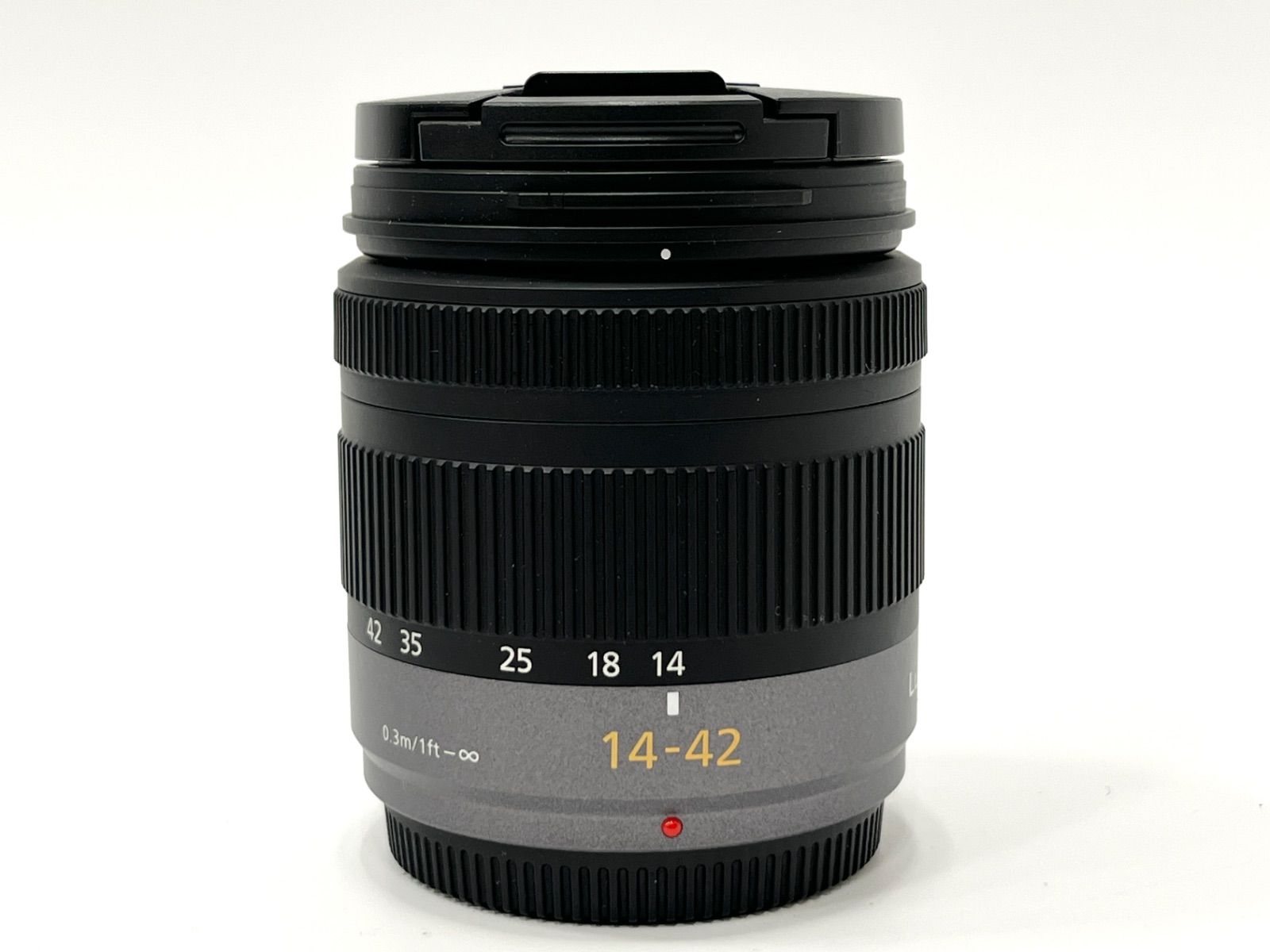 DMC-GF2