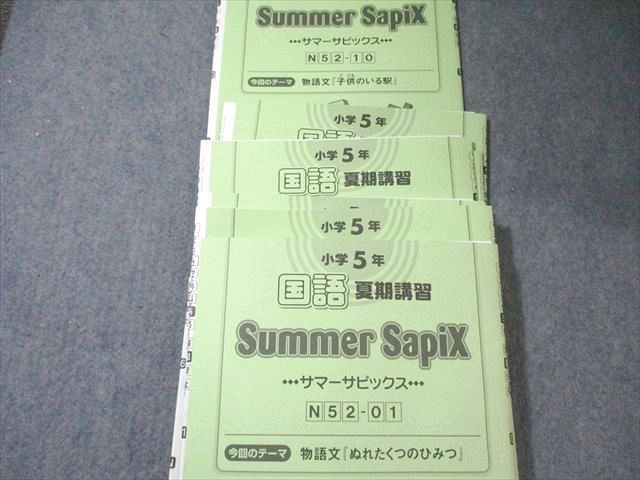 SAPIX 小5 サピックス デイリーA/B/サマー 国語 通年セット 【計