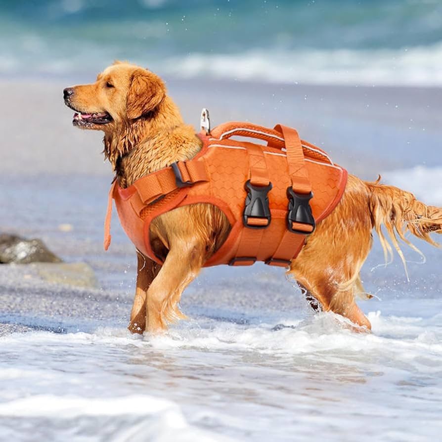 truelove ライフジャケット 犬 イエロー xxs 小型犬 楽天市場】【新色