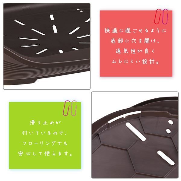 シエスタ