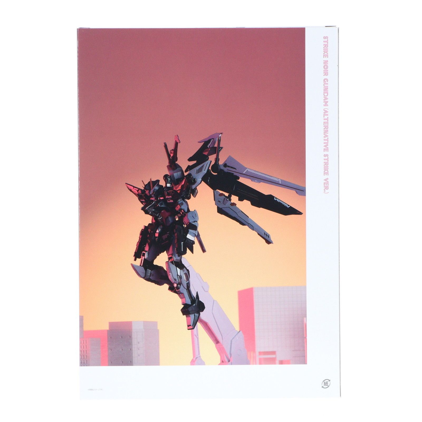 METAL BUILD ストライクノワールガンダム(オルタナティブストライク