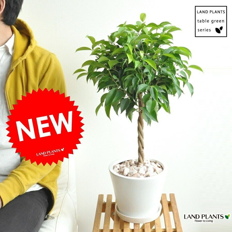 盆栽鉢 美品美山上品なミニ盆栽鉢小品盆栽鉢長方鉢山 盆栽鉢 青磁鉢 山