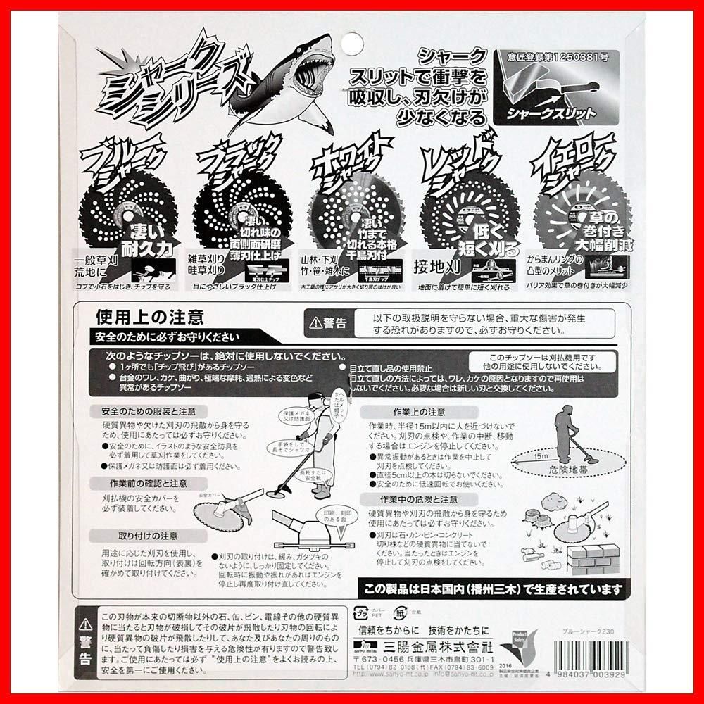 ブルーシャーク