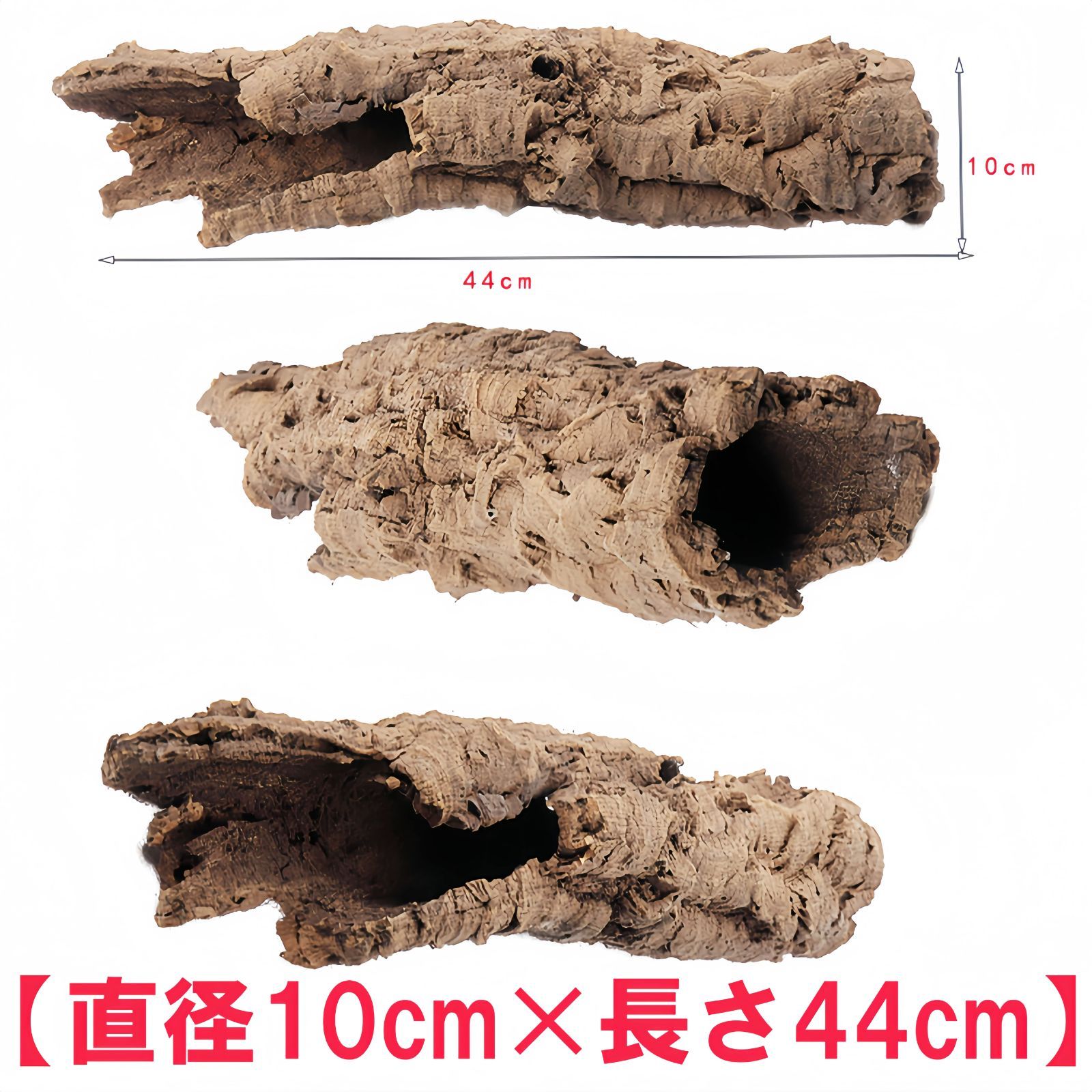 コルク樹皮　ビカク板付　爬虫類　シェルター　⑫ 楽天市場】コルクシェルターの通販