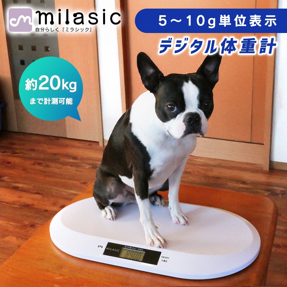 3LP-Ooparts ブッダの遺産 D.L a.k.a. BOBO JAMES